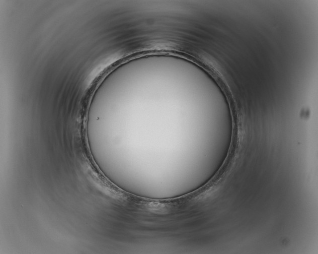 X0000112210827200908211516