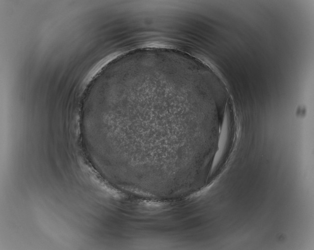 X0000112210829200908211516