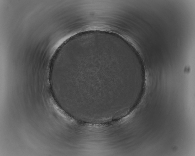 X0000112210830200908211516