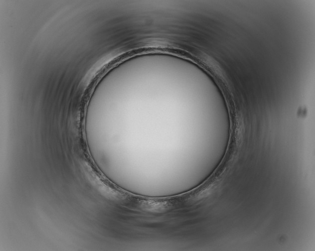 X0000112210831200908211516