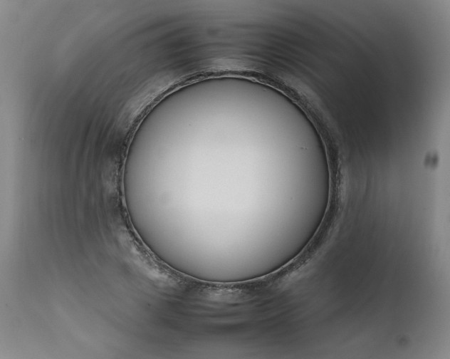 X0000112210833200908211516