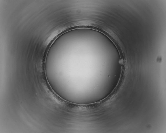 X0000112210834200908211516