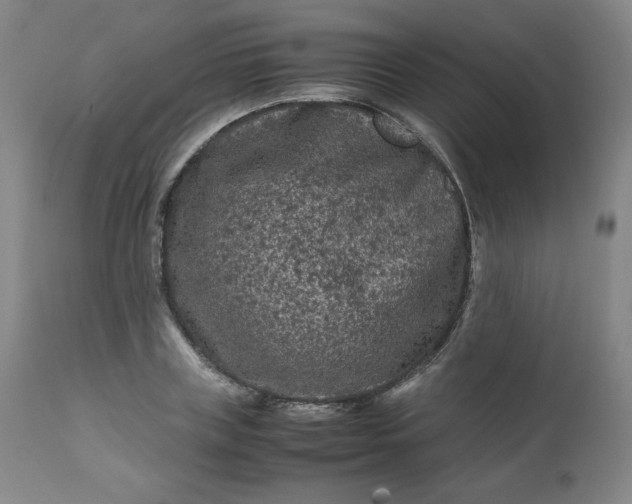 X0000112210835200908211516