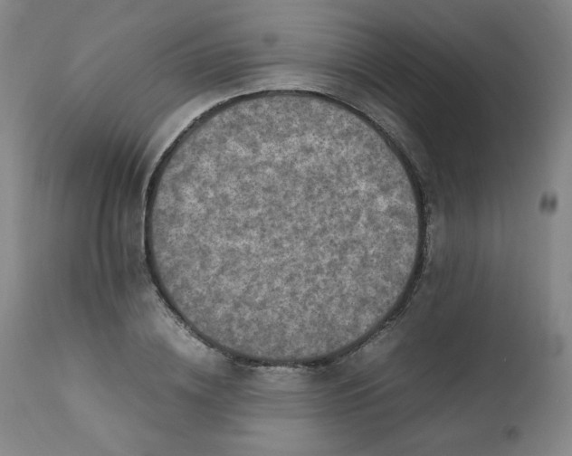 X0000112210836200908211516