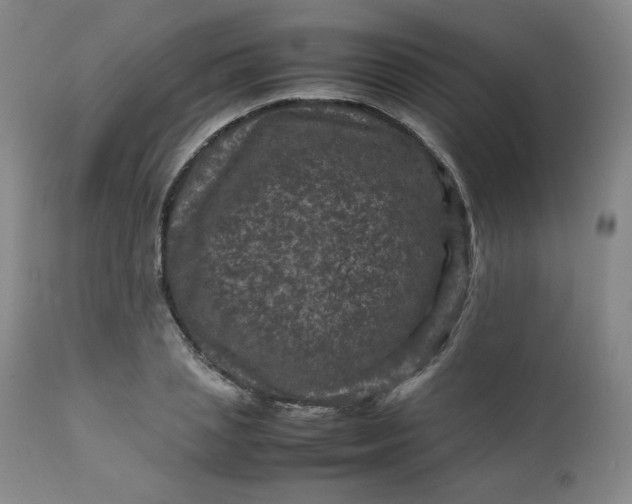 X0000112210837200908211516