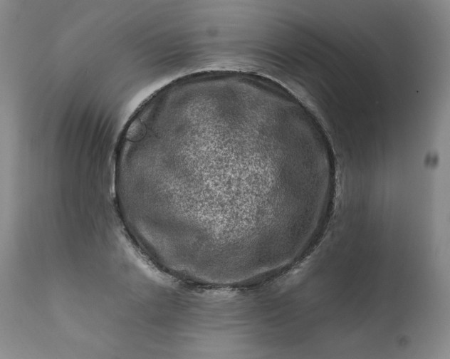 X0000112210838200908211516