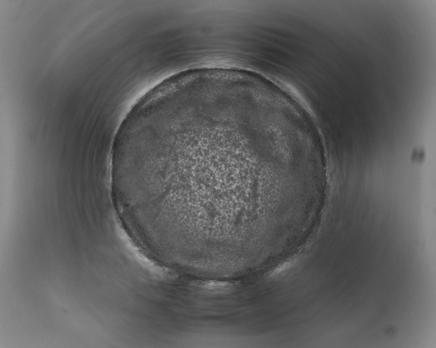 X0000112210839200908211516