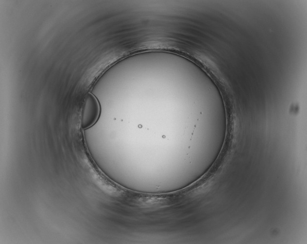 X0000112210841200908211516