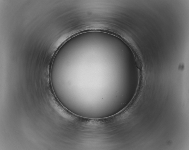 X0000112210842200908211516