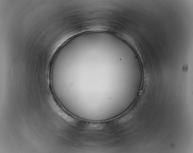 X0000112210843200908211516