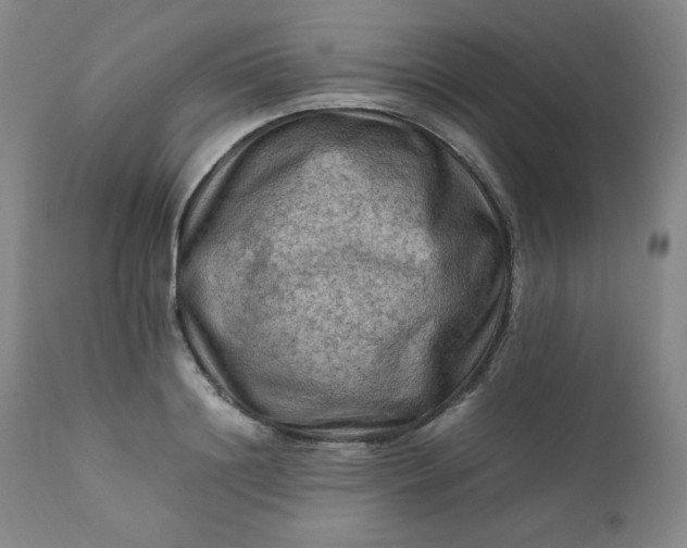 X0000112210844200908211516