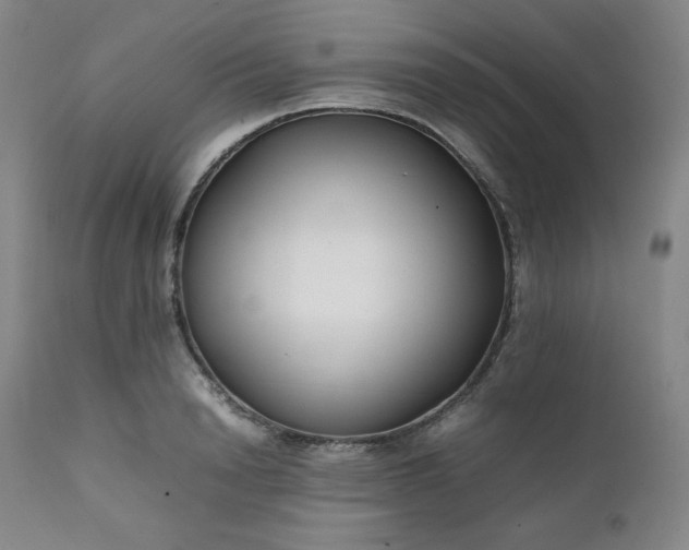 X0000112210846200908211516