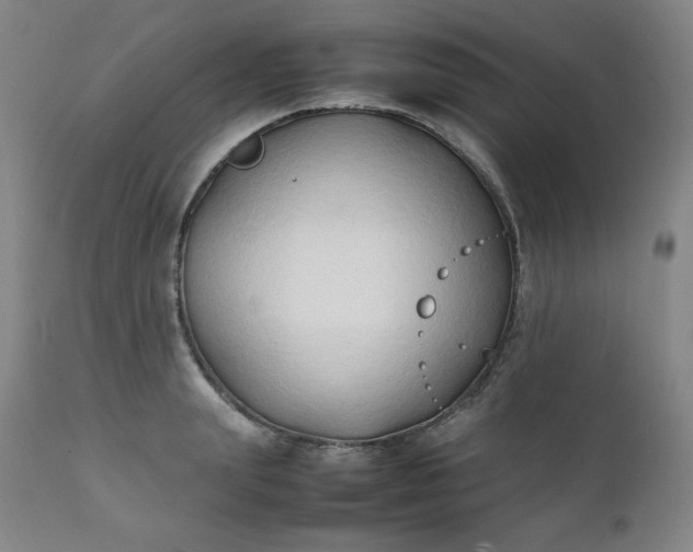 X0000112210847200908211516