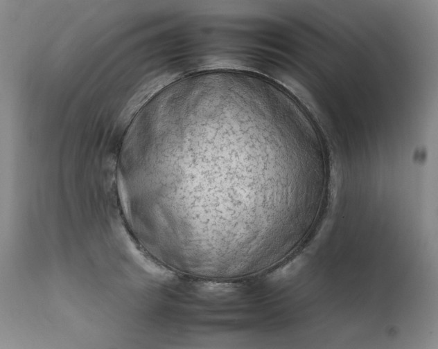 X0000112210849200908211516