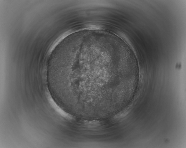 X0000112210851200908211516