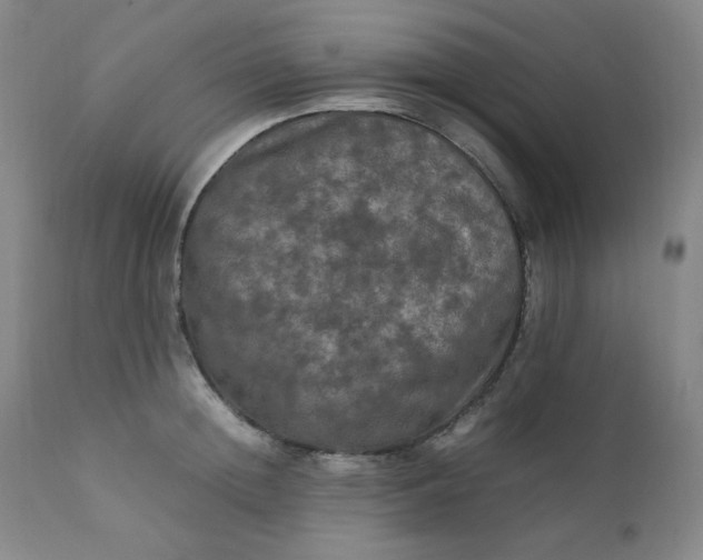 X0000112210852200908211516