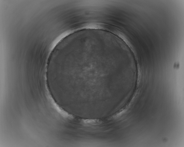 X0000112210853200908211517