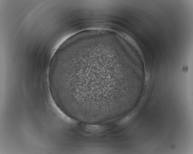 X0000112210855200908211517