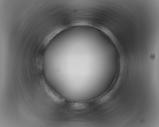 X0000112210857200908211517