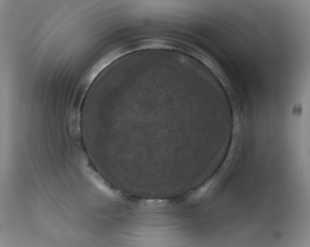 X0000112210858200908211517