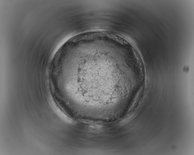 X0000112210859200908211517