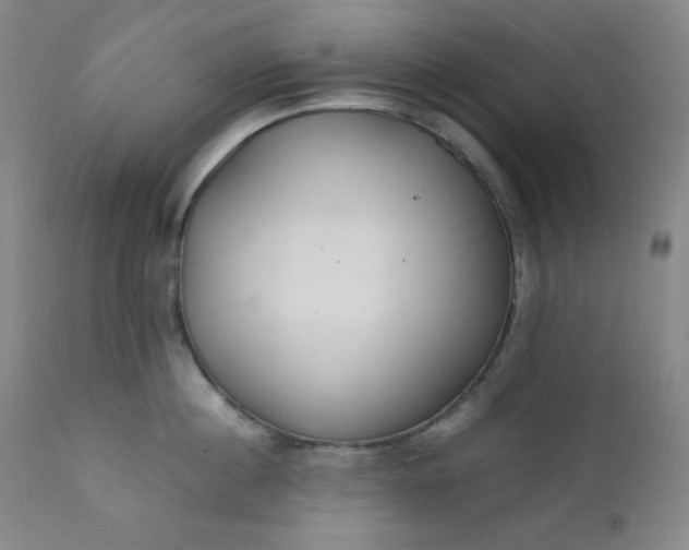 X0000112210860200908211517