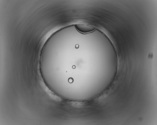 X0000112210861200908211517