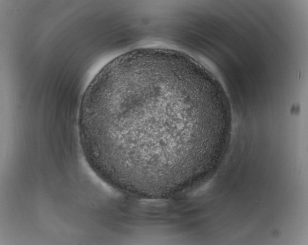 X0000112210863200908211517