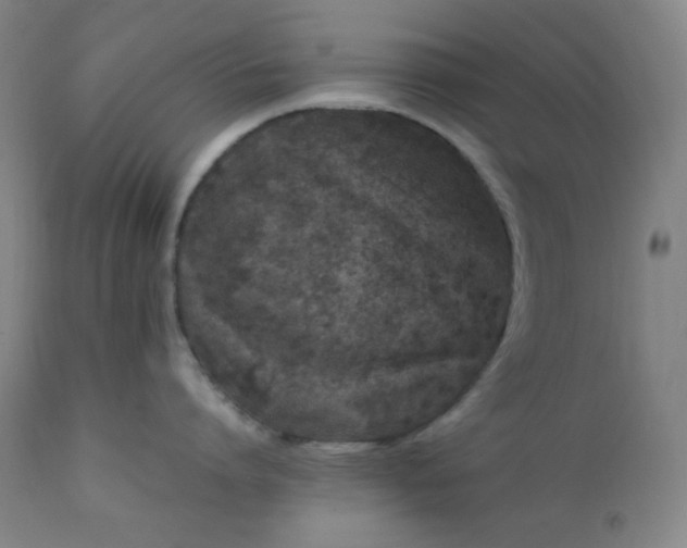 X0000112210864200908211517