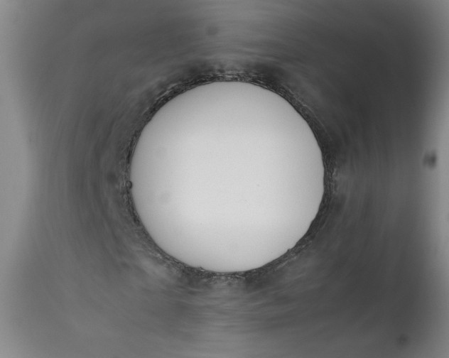 X0000112210865200908211516