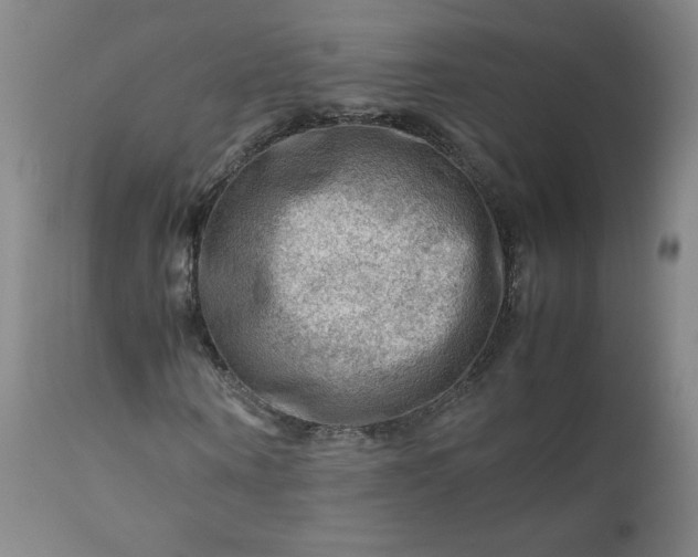 X0000112210866200908211516