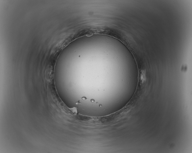 X0000112210867200908211516