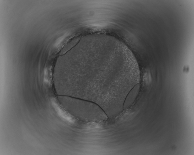 X0000112210868200908211516