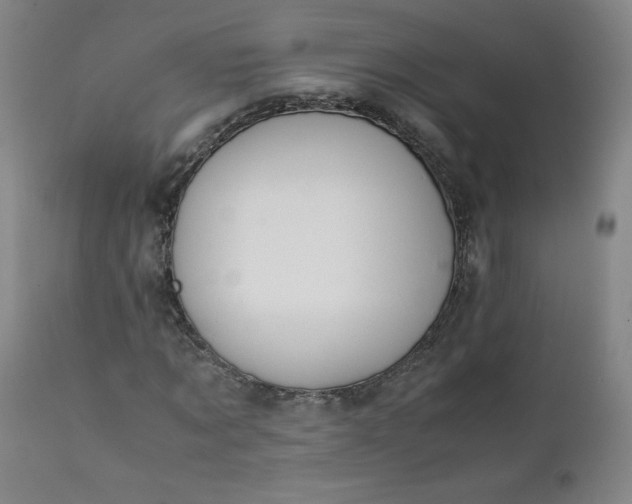 X0000112210869200908211516