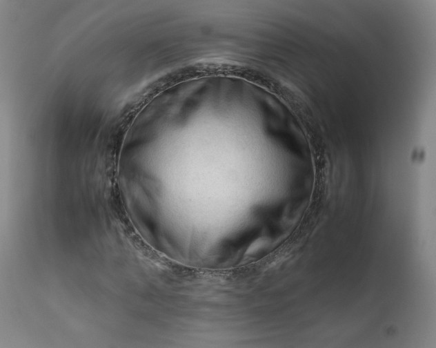 X0000112210870200908211516