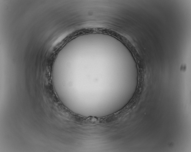 X0000112210871200908211516