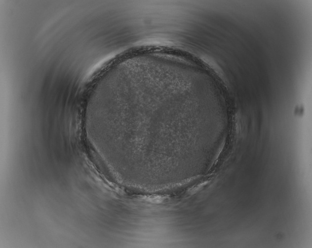 X0000112210872200908211516