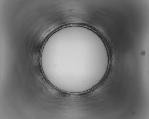 X0000112210873200908211516