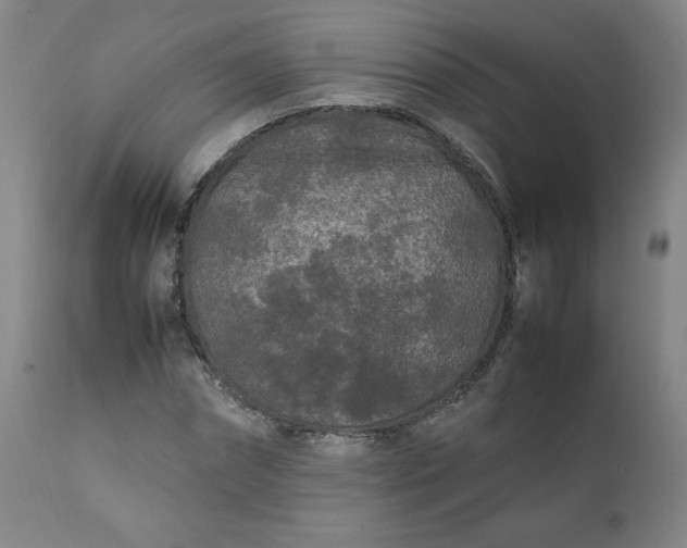 X0000112210874200908211516