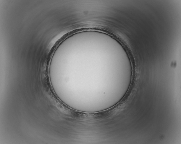 X0000112210875200908211516