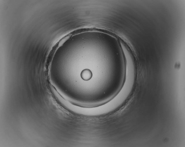 X0000112210876200908211516