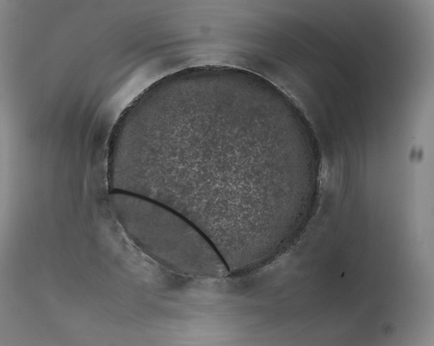 X0000112210877200908211516