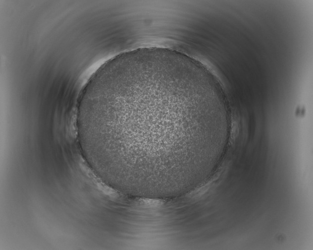 X0000112210878200908211516