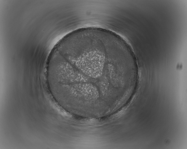 X0000112210879200908211516