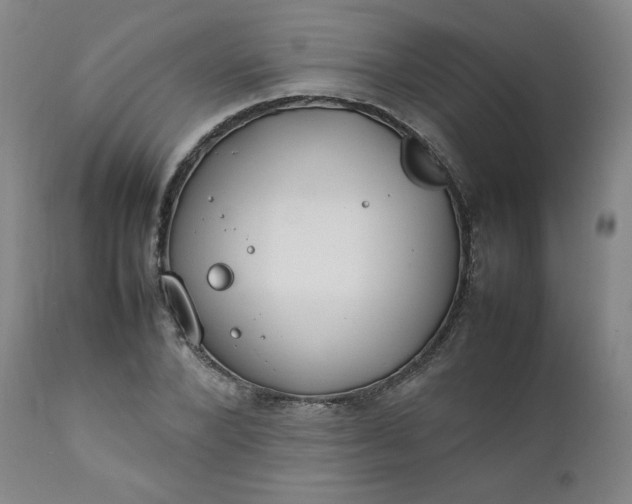 X0000112210880200908211516