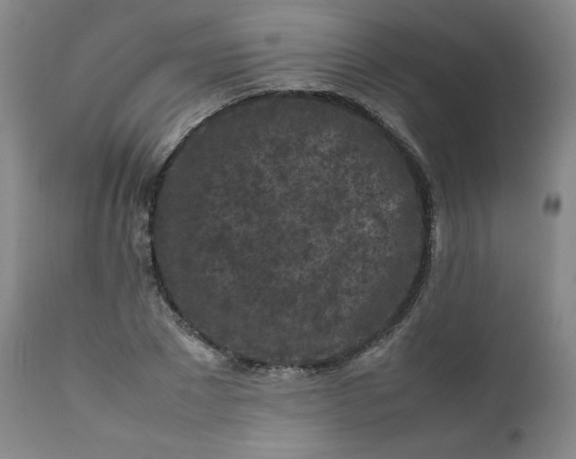 X0000112210881200908211516