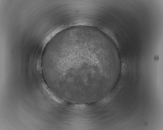 X0000112210882200908211516