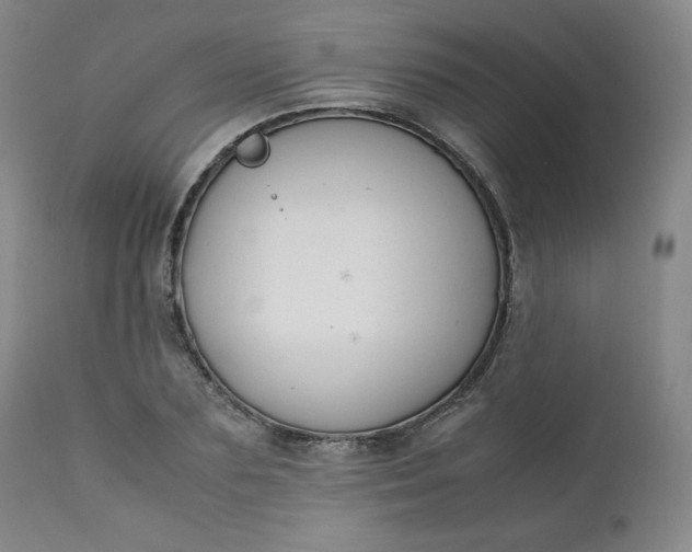 X0000112210883200908211516