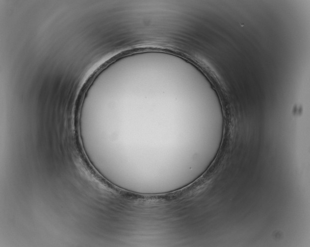 X0000112210884200908211516