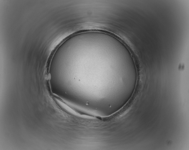 X0000112210885200908211516